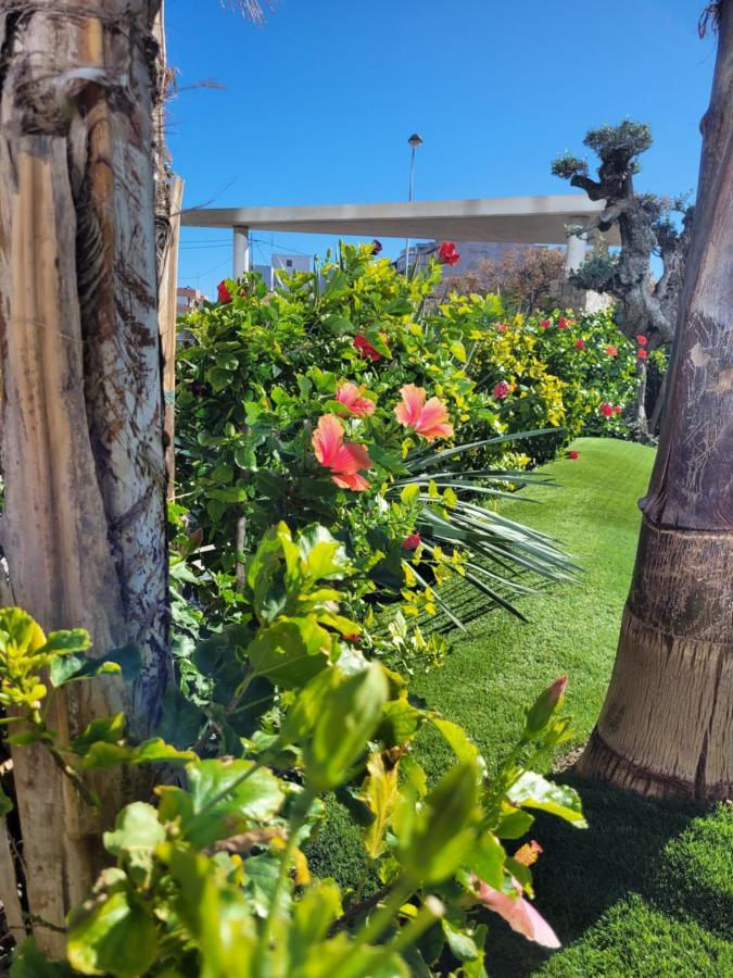 Apartement Verano El Campello - 2 Bedrooms - Piscina - Garaje 外观 照片